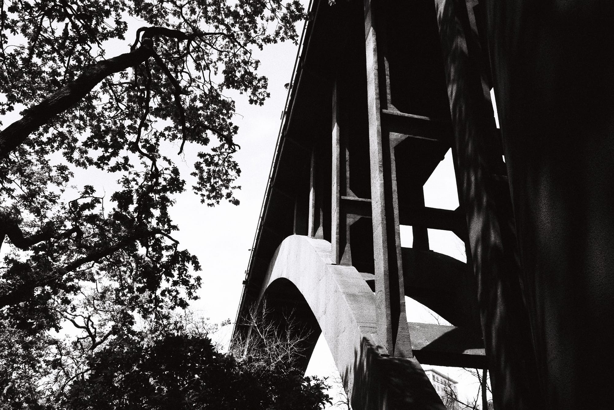 Underneath Grafton Bridge