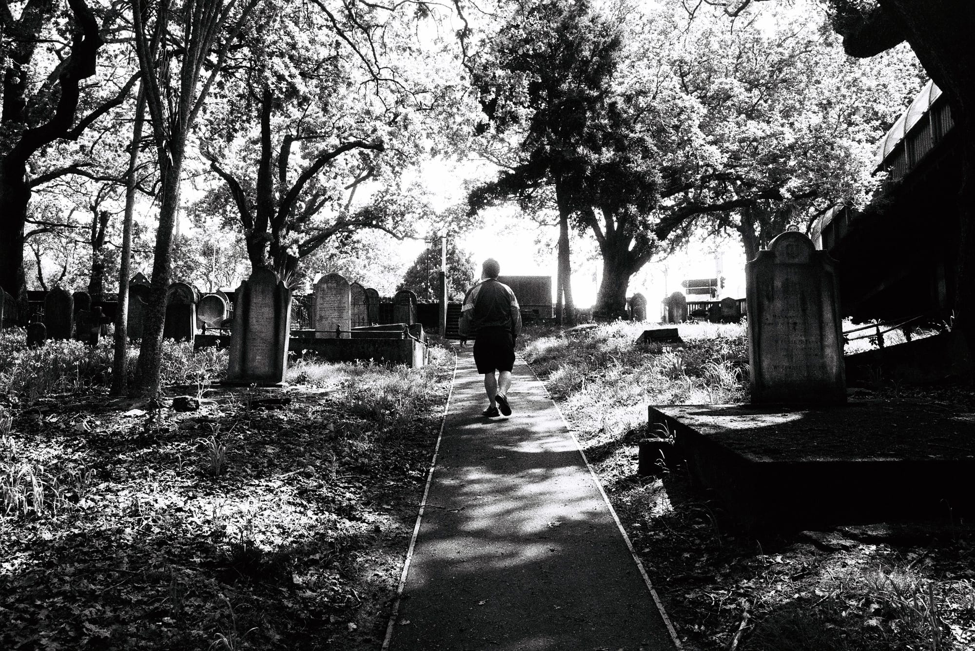 Wandering Among The Dead