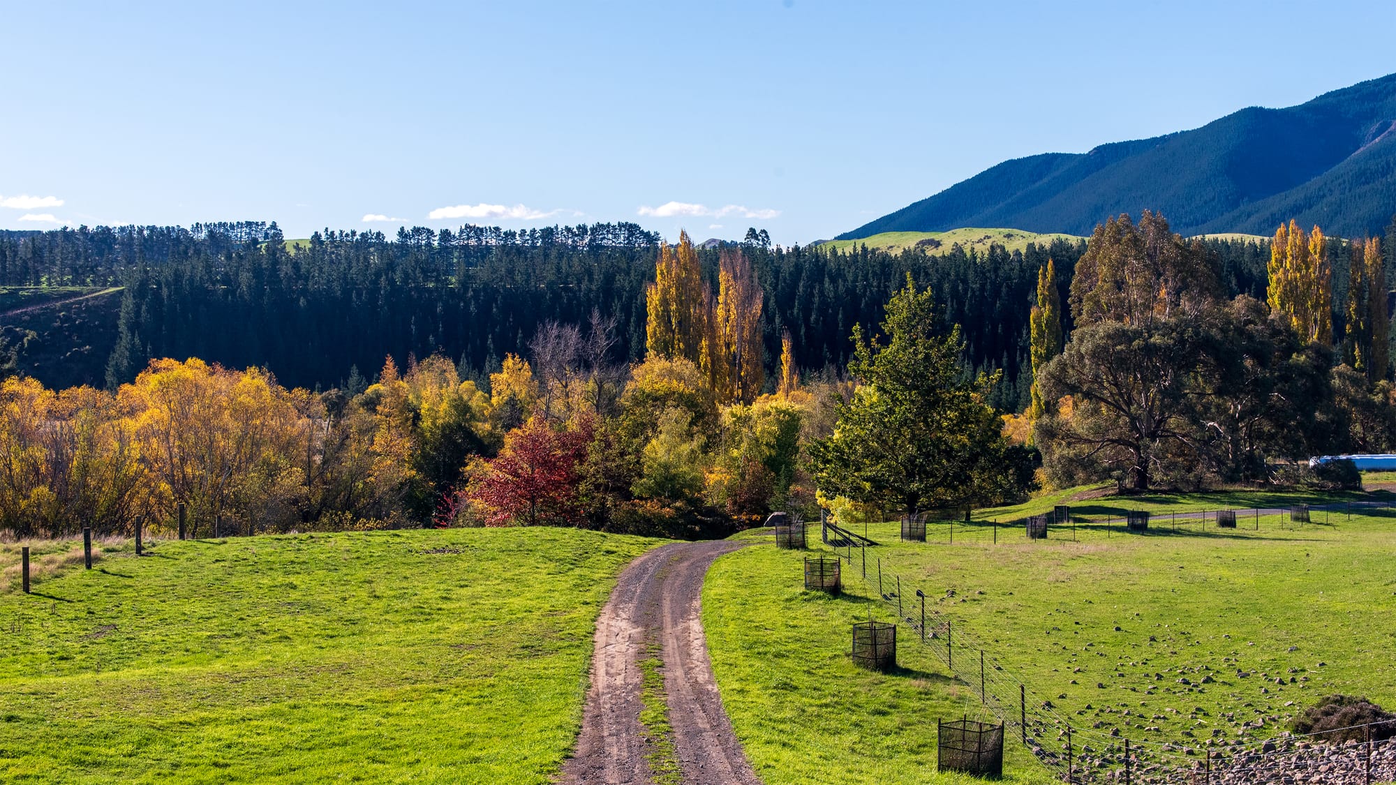 Kateru Downs, I
