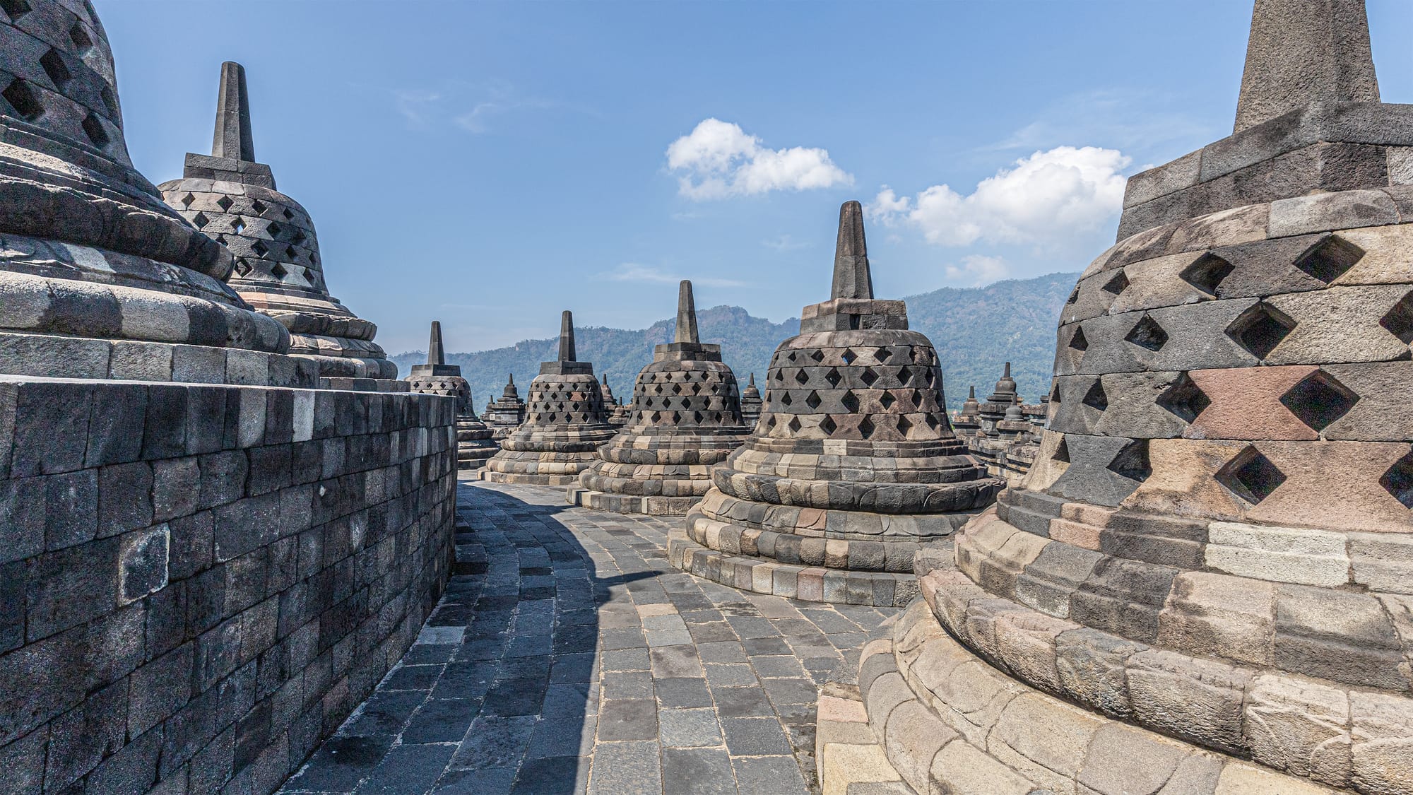 Walking Among Buddhas