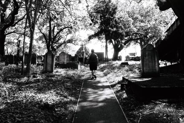 Wandering Among The Dead