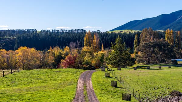 Kateru Downs, I